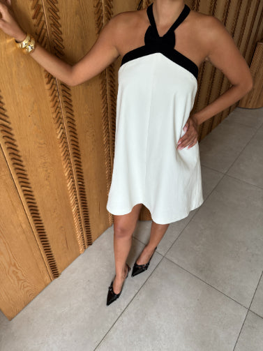 SWAN DRESS